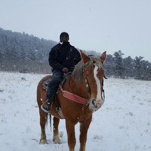 Meet your Posher, Marion